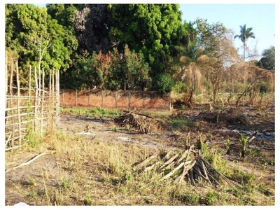 Depósito-Galpão, 450 m² - Foto 4