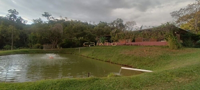 Chácara, 4 quartos, 6 hectares - Foto 1