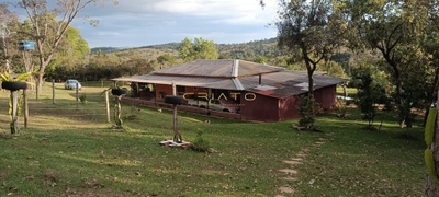 Chácara, 4 quartos, 6 hectares - Foto 2