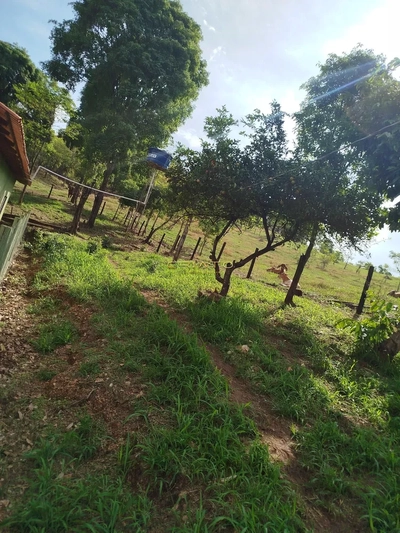 Chácara, 5 quartos, 2 hectares - Foto 3