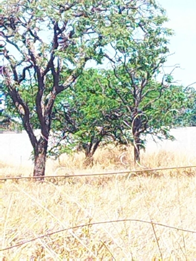 Terreno, 5400 m² - Foto 5