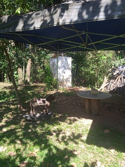 Chácara, 2 quartos, 3000 m² - Foto 5