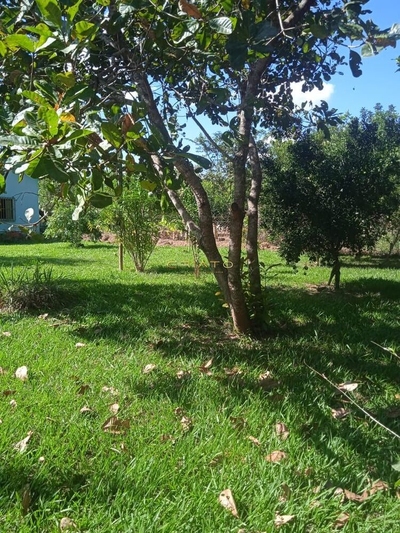 Chácara, 2 quartos, 3000 m² - Foto 4