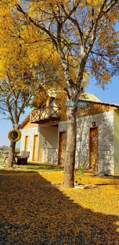 Chácara, 10 quartos, 100 hectares - Foto 3