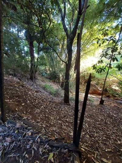 Fazenda-Sítio-Chácara, 907 hectares - Foto 4
