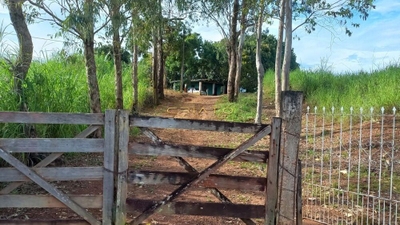 Terreno, 2 hectares - Foto 2