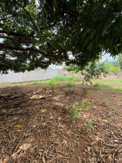 Terreno, 3160 m² - Foto 5