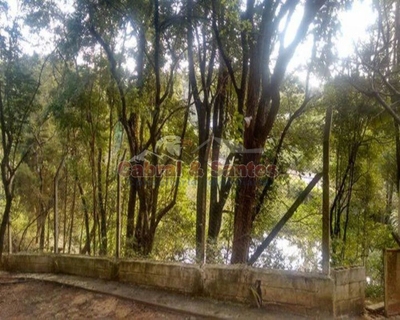 Sítio, 4 quartos, 400 m² - Foto 3