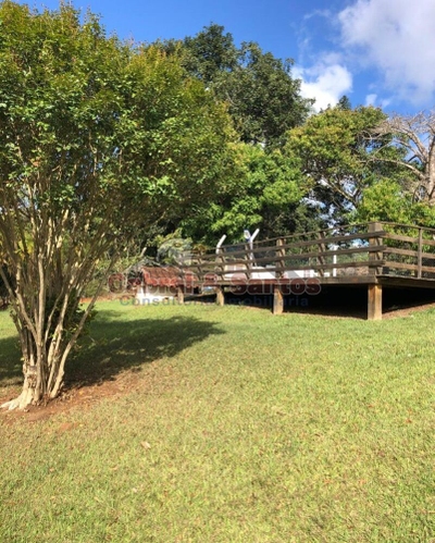 Chácara, 3 quartos, 1 hectares - Foto 4