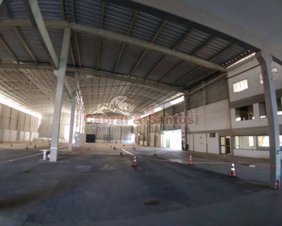 Depósito-Galpão - Foto 1