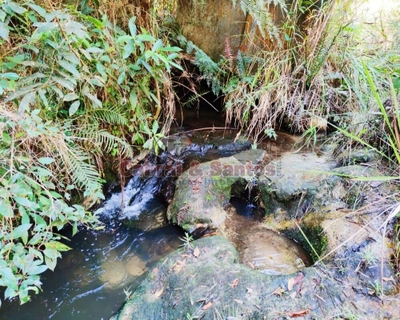 Sítio, 4 quartos, 10 hectares - Foto 4