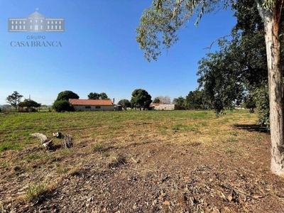 Chácara, 2 quartos, 2 hectares - Foto 1