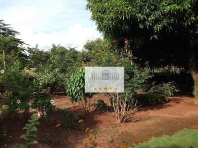 Chácara, 3 quartos, 2484 m² - Foto 4