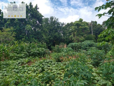 Chácara, 1 quarto, 3000 m² - Foto 2