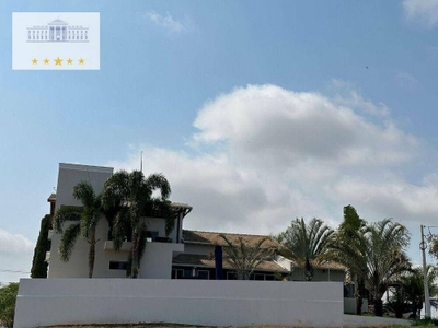 Sítio, 3 quartos, 562 m² - Foto 5