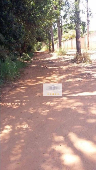 Chácara, 4 quartos, 4800 m² - Foto 4