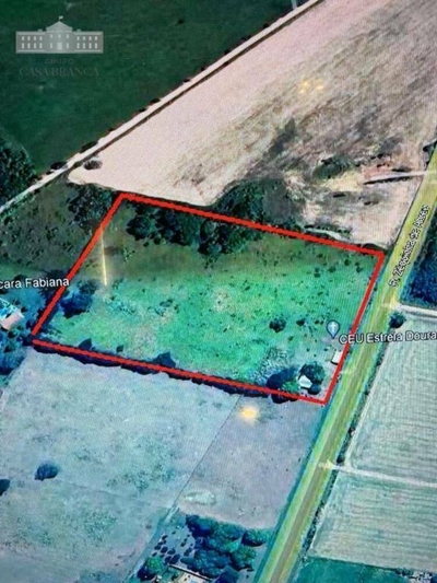 Sítio, 4 hectares - Foto 4