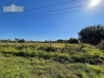 Sítio, 4 hectares - Foto 1