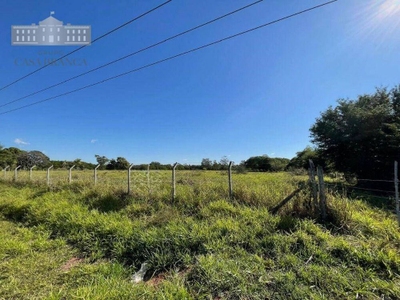 Sítio, 4 hectares - Foto 2