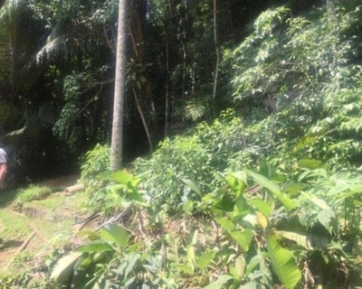 Terreno, 1700 m² - Foto 3