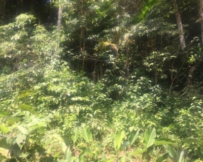 Terreno, 628 m² - Foto 1