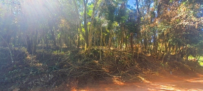 Terreno, 500 m² - Foto 2