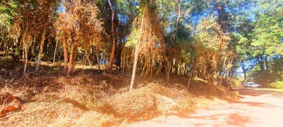 Terreno, 866 m² - Foto 4