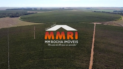 Fazenda-Sítio-Chácara, 1000 m² - Foto 2