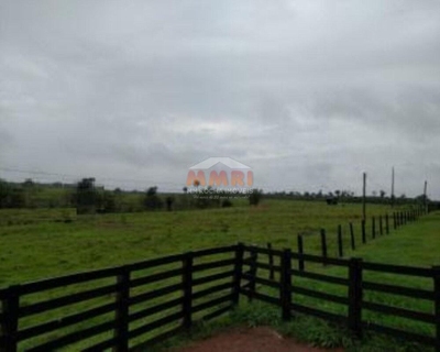 Fazenda-Sítio-Chácara, 1 quarto - Foto 2