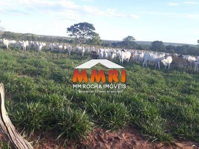 Fazenda-Sítio-Chácara, 350 m² - Foto 4