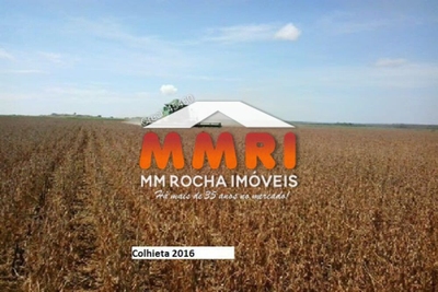 Fazenda-Sítio-Chácara, 3 hectares - Foto 3