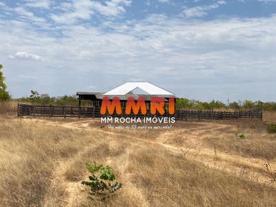 Fazenda-Sítio-Chácara, 10 hectares - Foto 3