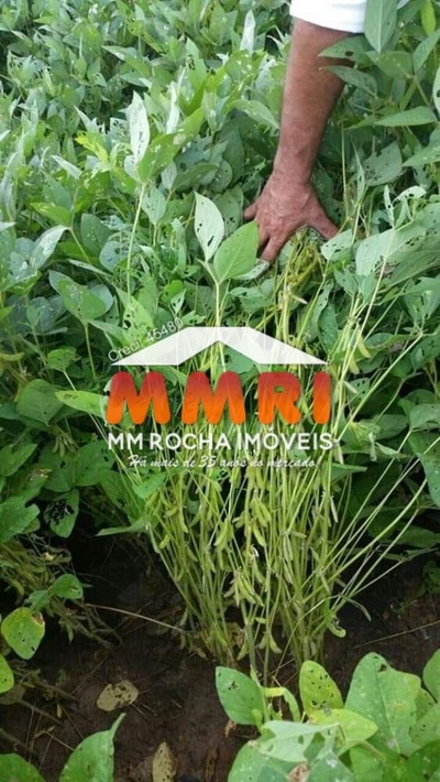 Fazenda-Sítio-Chácara, 4 hectares - Foto 4