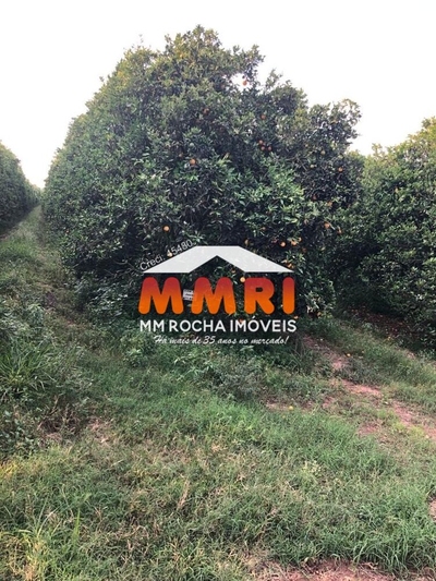 Fazenda-Sítio-Chácara, 953 m² - Foto 3