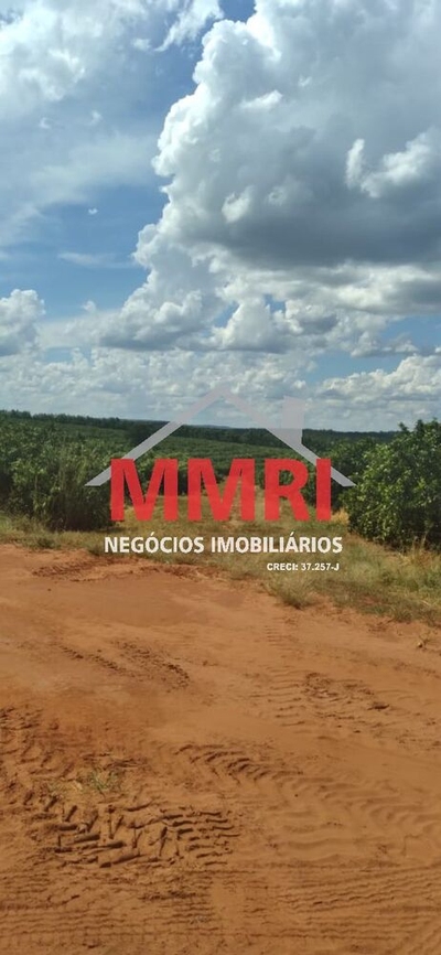 Fazenda-Sítio-Chácara, 1300 m² - Foto 2