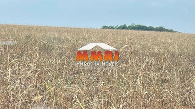 Fazenda-Sítio-Chácara, 2 hectares - Foto 1