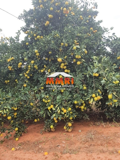 Fazenda-Sítio-Chácara, 366 m² - Foto 3