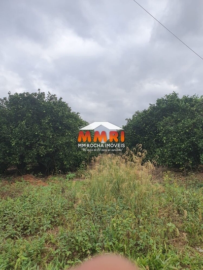 Fazenda-Sítio-Chácara, 366 m² - Foto 4