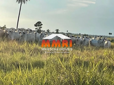 Fazenda-Sítio-Chácara, 2 hectares - Foto 4