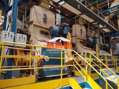 Fazenda-Sítio-Chácara - Foto 4