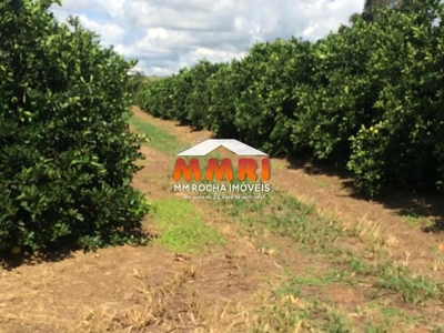 Fazenda, 1 quarto - Foto 4