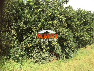 Fazenda, 1 quarto - Foto 5