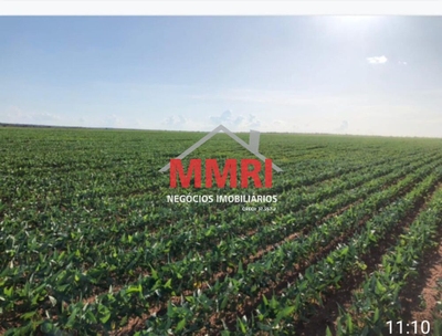 Fazenda-Sítio-Chácara, 424 m² - Foto 1