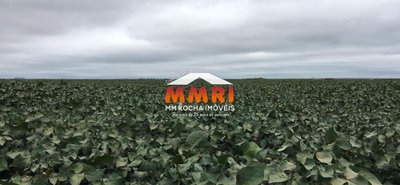 Fazenda-Sítio-Chácara, 2 hectares - Foto 1