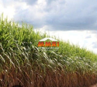 Fazenda-Sítio-Chácara, 1 quarto - Foto 1