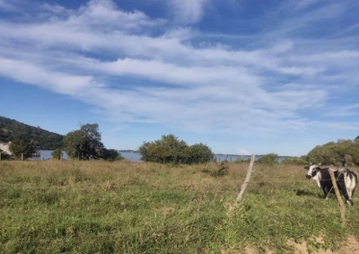 Terreno, 4437 m² - Foto 4