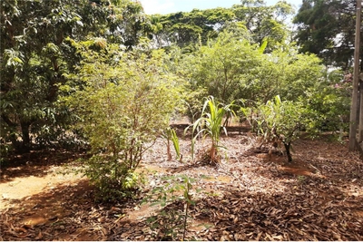 Chácara, 7 quartos, 2922 m² - Foto 5