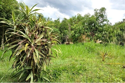 Terreno, 1518 m² - Foto 5