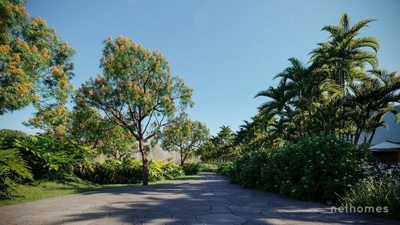 Terreno, 300 m² - Foto 4