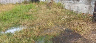 Depósito-Galpão, 750 m² - Foto 4